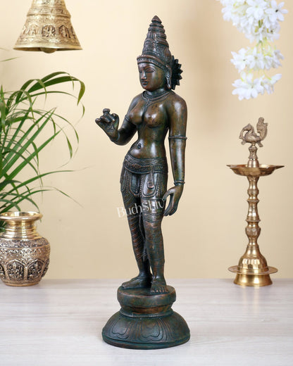 Pure Brass Bhoga Shakti Standing Uma Parvati Idol 18 inch Bronze patina - Budhshiv.com