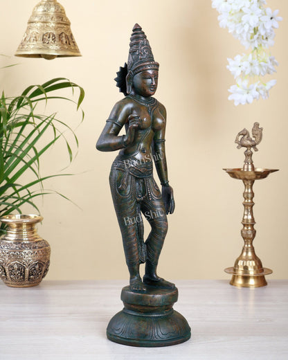 Pure Brass Bhoga Shakti Standing Uma Parvati Idol 18 inch Bronze patina - Budhshiv.com
