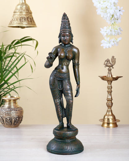 Pure Brass Bhoga Shakti Standing Uma Parvati Idol 18 inch Bronze patina - Budhshiv.com