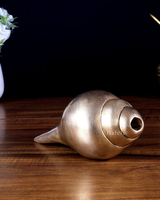 Pure Brass Blowing Shankh / Conch 8" - Budhshiv.com