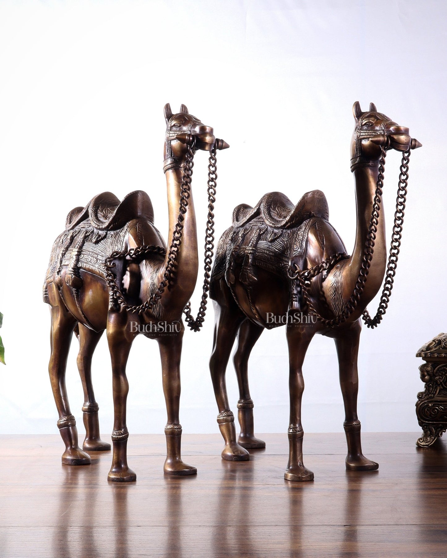 Pure Brass Camel pair Statues | Vastu Showpiece for Home & Office | 17" - Budhshiv.com