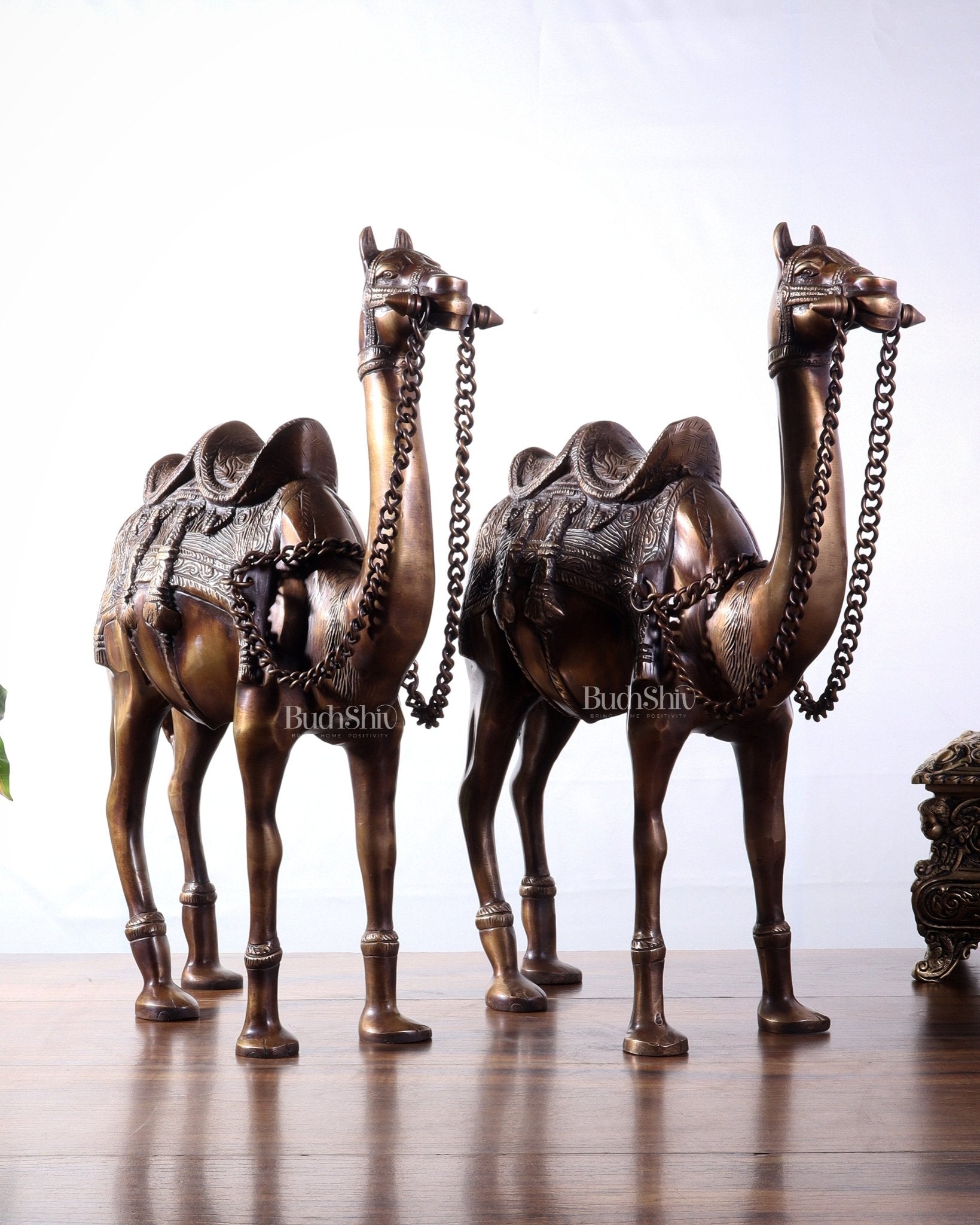 Pure Brass Camel pair Statues | Vastu Showpiece for Home & Office | 17" - Budhshiv.com