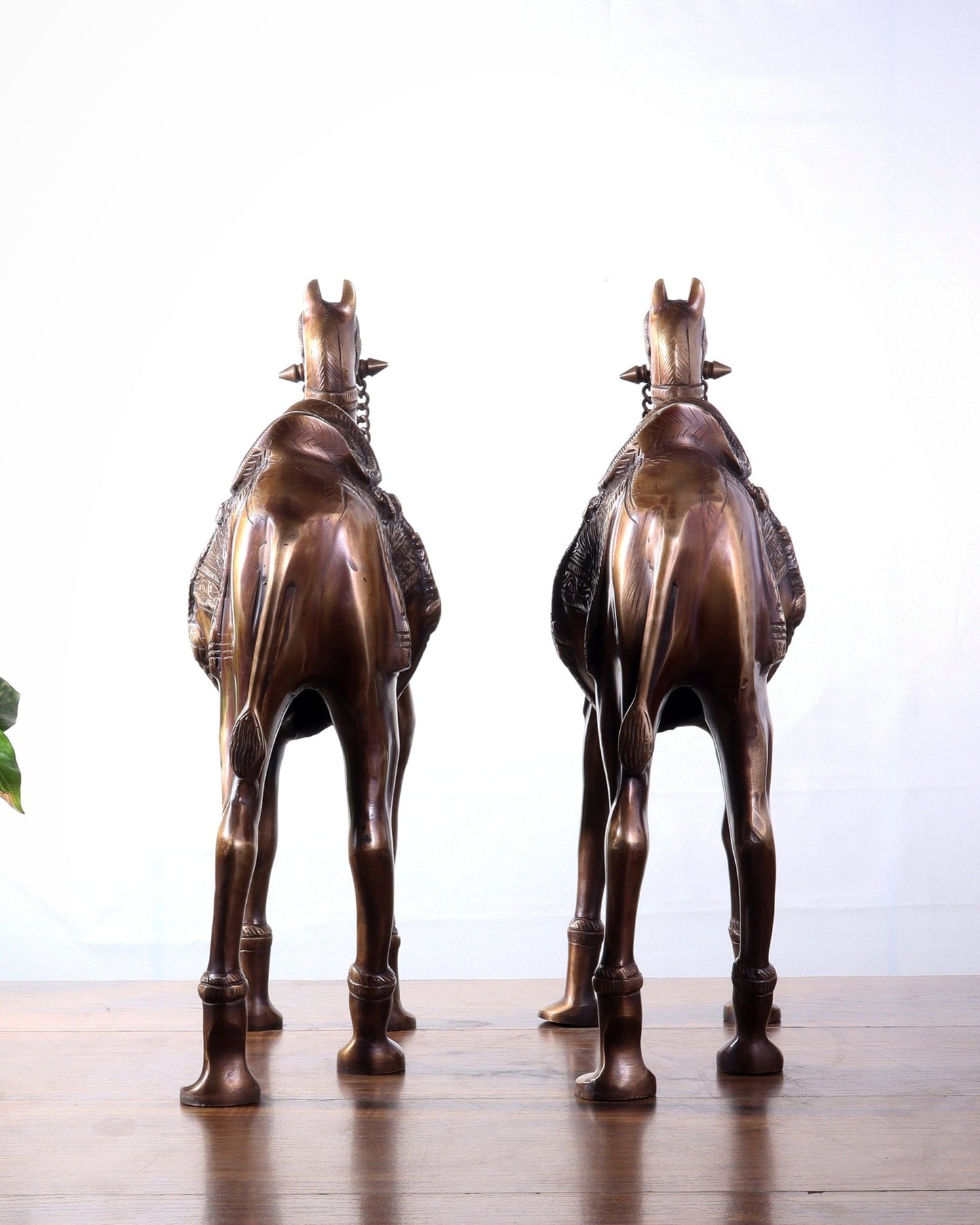 Pure Brass Camel pair Statues | Vastu Showpiece for Home & Office | 17" - Budhshiv.com