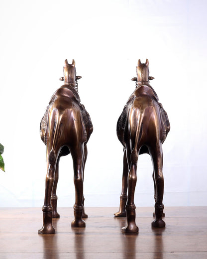 Pure Brass Camel pair Statues | Vastu Showpiece for Home & Office | 17" - Budhshiv.com
