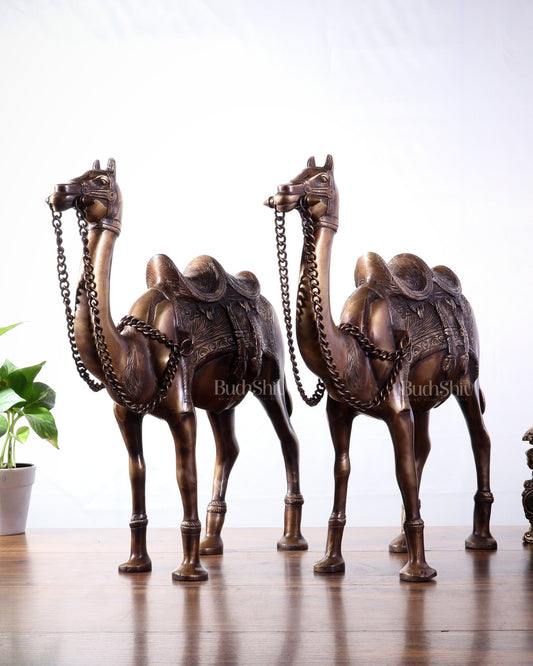 Pure Brass Camel pair Statues | Vastu Showpiece for Home & Office | 17" - Budhshiv.com