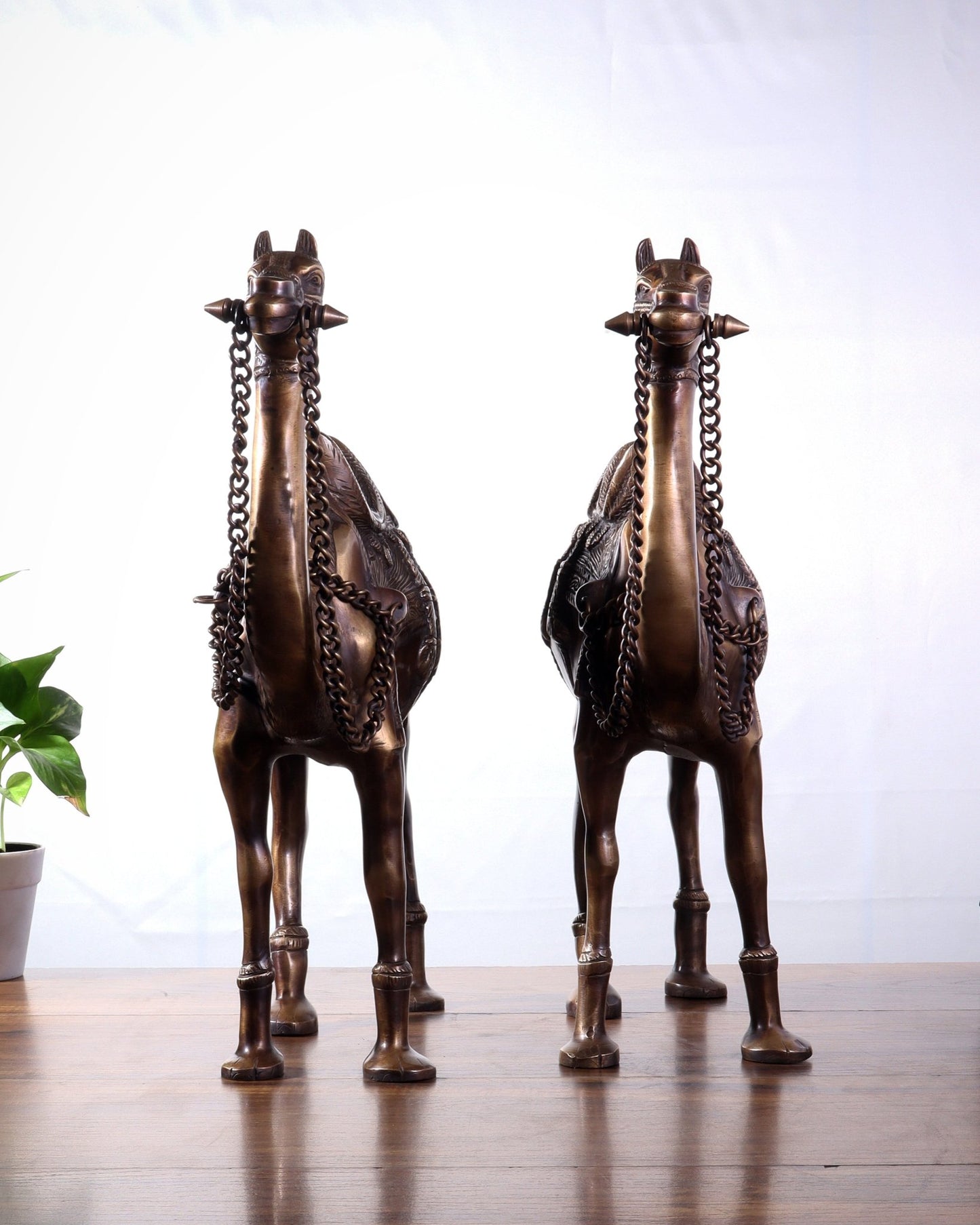Pure Brass Camel pair Statues | Vastu Showpiece for Home & Office | 17" - Budhshiv.com