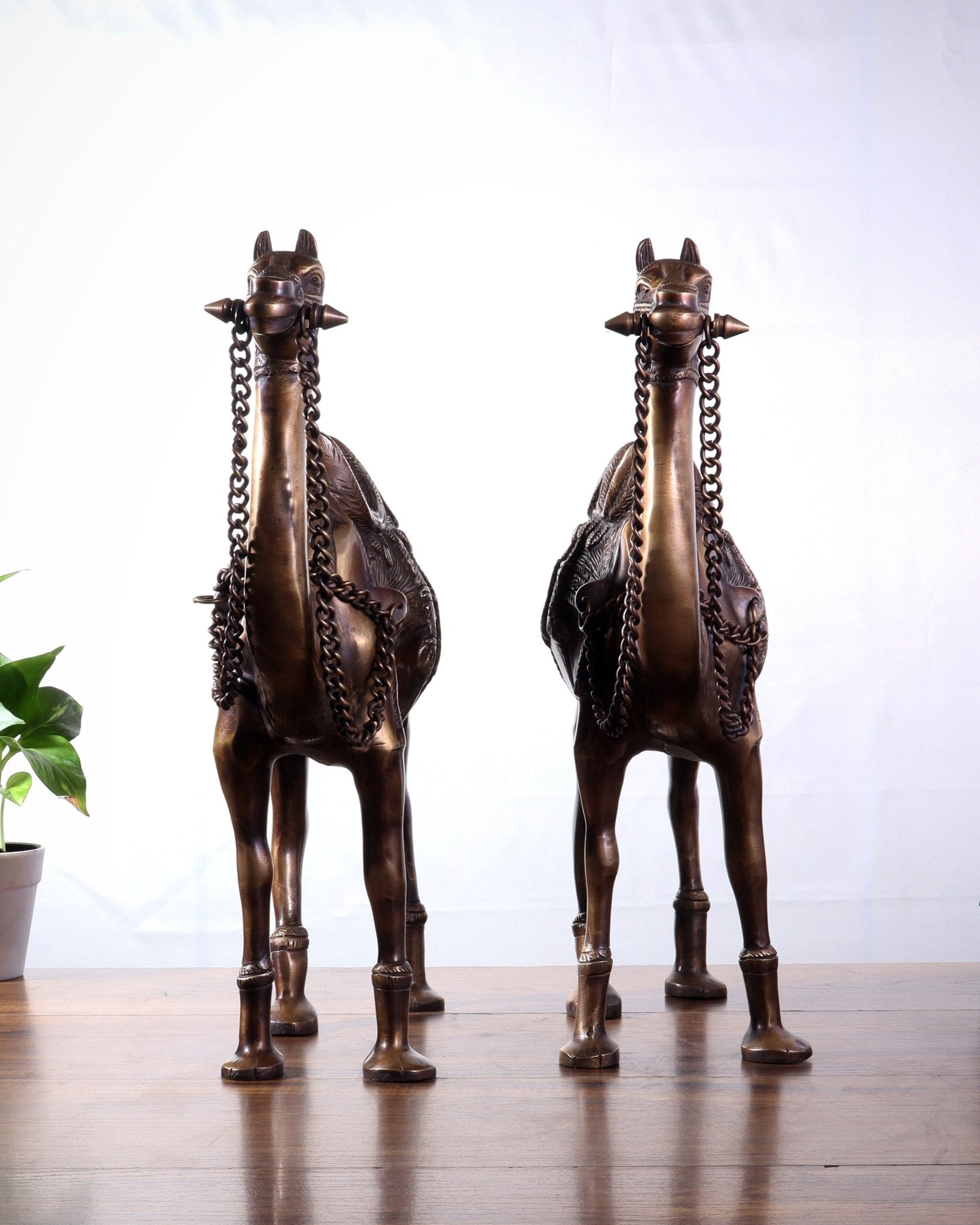 Pure Brass Camel pair Statues | Vastu Showpiece for Home & Office | 17" - Budhshiv.com