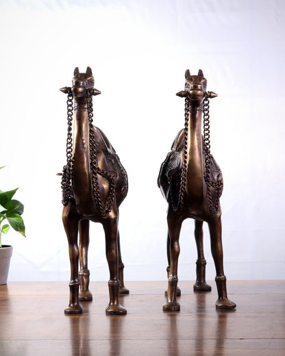 Pure Brass Camel pair Statues | Vastu Showpiece for Home & Office | 17" - Budhshiv.com