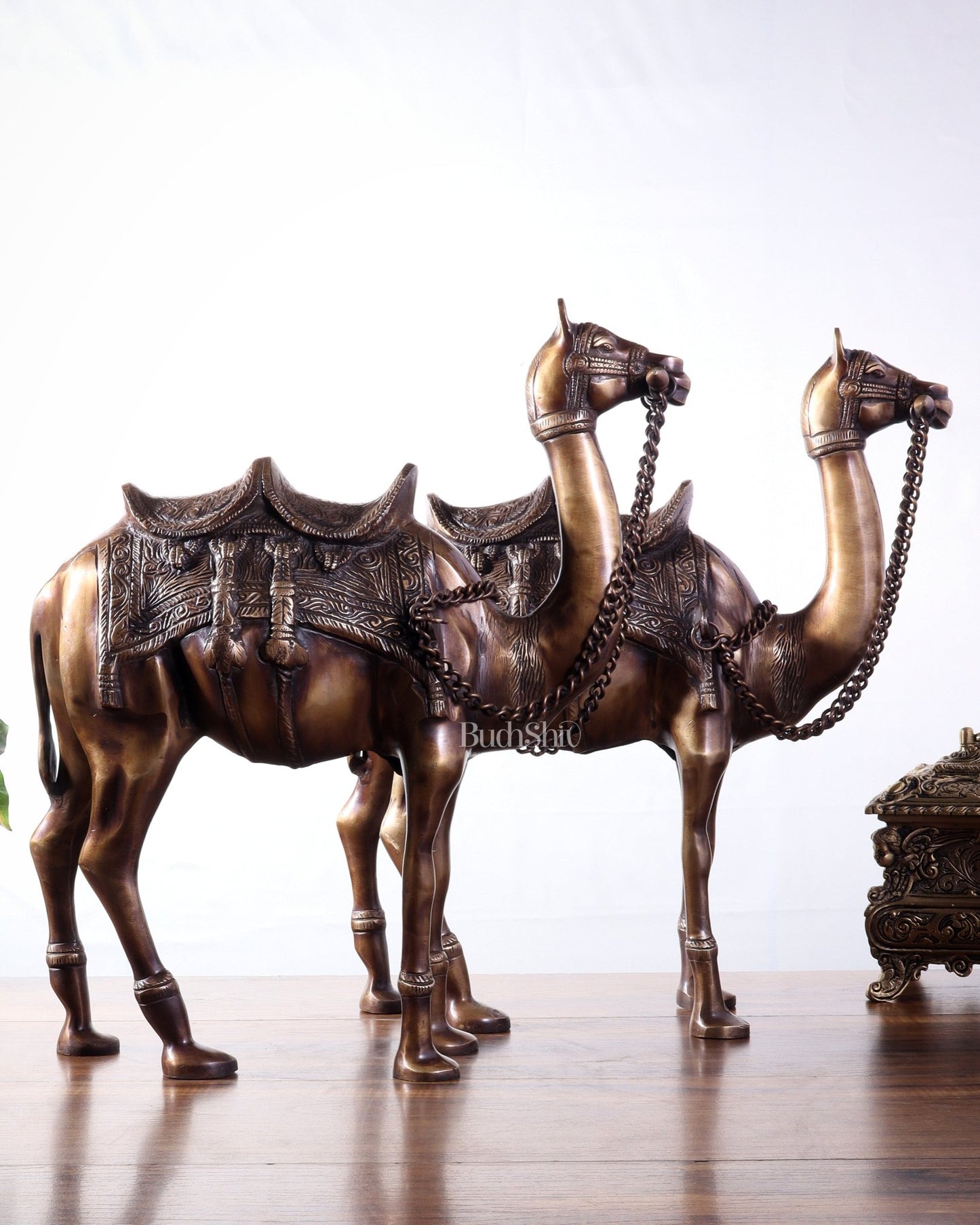 Pure Brass Camel pair Statues | Vastu Showpiece for Home & Office | 17" - Budhshiv.com