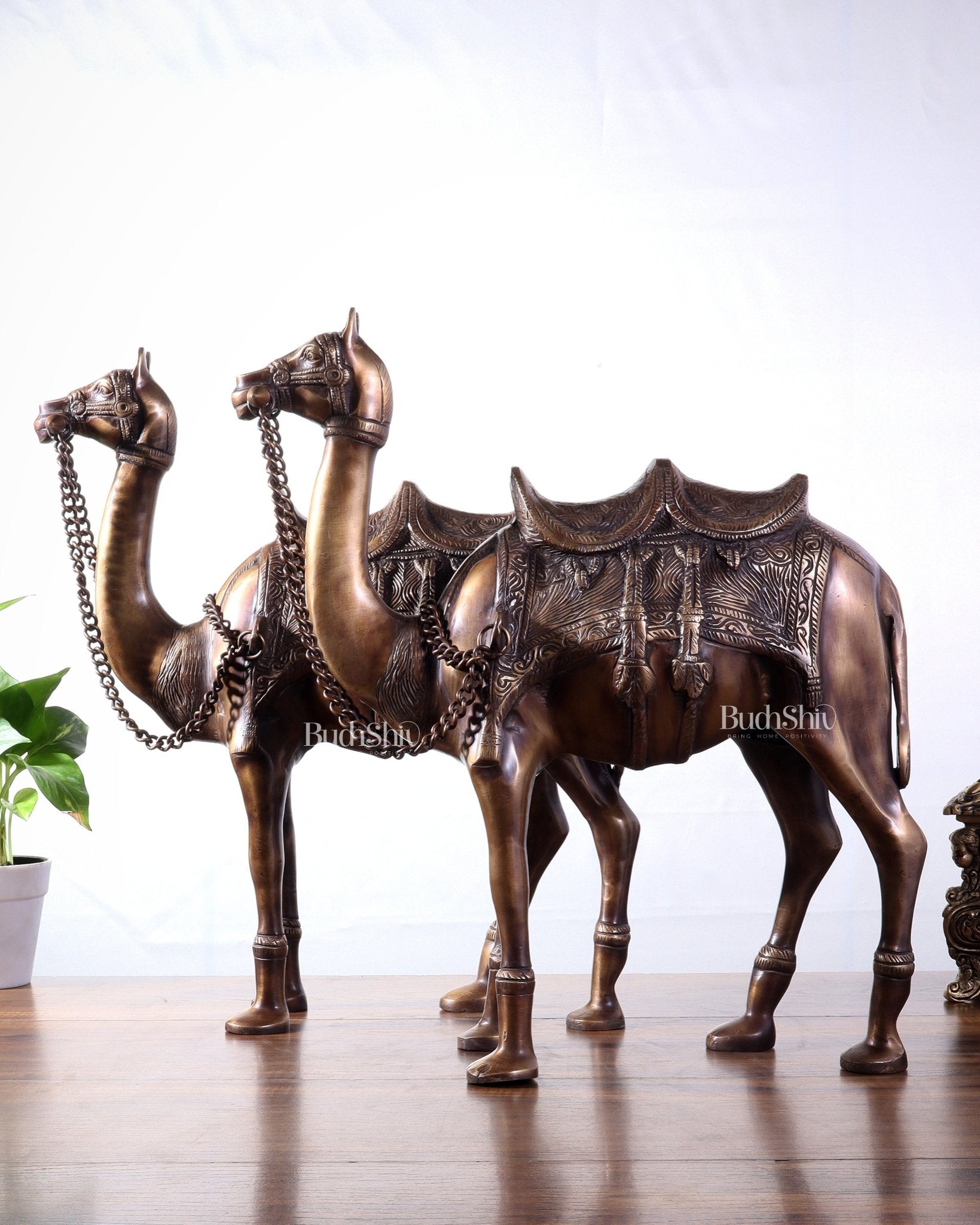 Pure Brass Camel pair Statues | Vastu Showpiece for Home & Office | 17" - Budhshiv.com