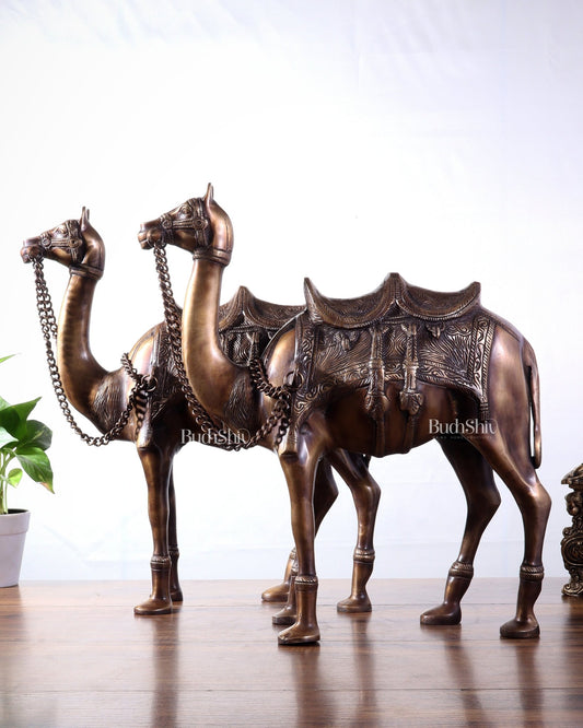 Pure Brass Camel pair Statues | Vastu Showpiece for Home & Office | 17" - Budhshiv.com