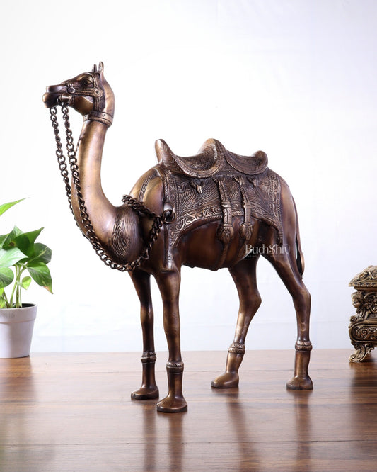 Pure Brass Camel Statue | Vastu Showpiece for Home & Office | 17" - Budhshiv.com