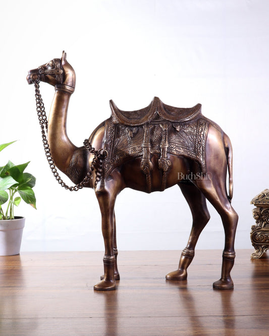 Pure Brass Camel Statue | Vastu Showpiece for Home & Office | 17" - Budhshiv.com
