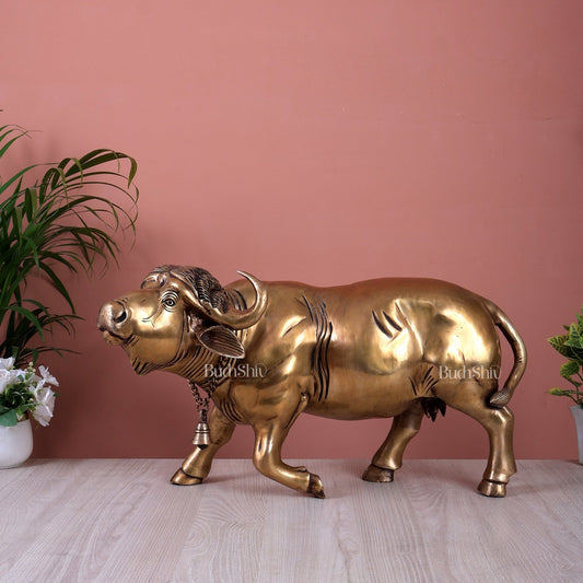 Pure Brass cow Getting Up Statue | Rare Vastu Strength & Prosperity Symbol (23 Inch) - Budhshiv.com