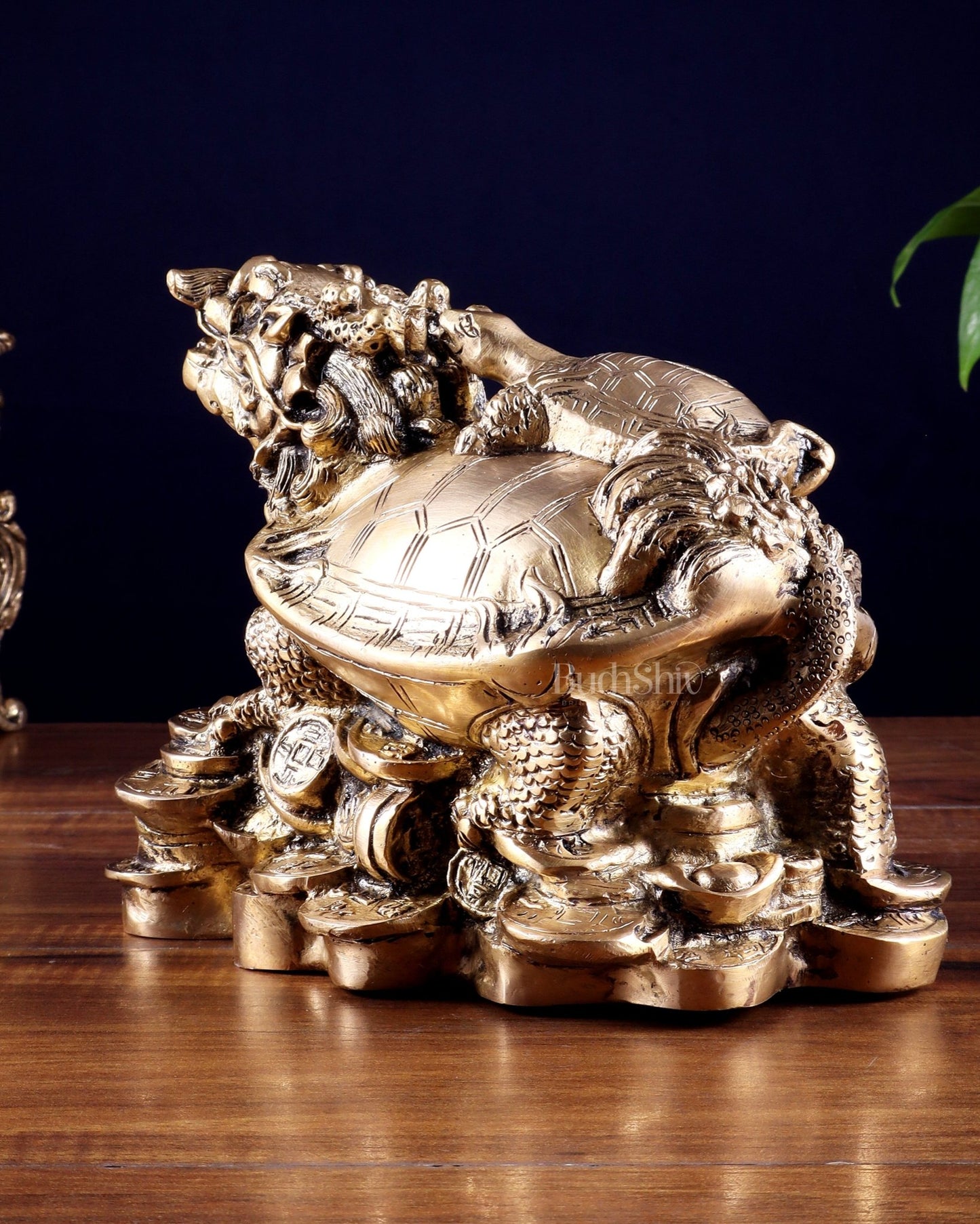 Pure Brass Feng Shui Dragon Tortoise Money Bank 8.5" - Budhshiv.com