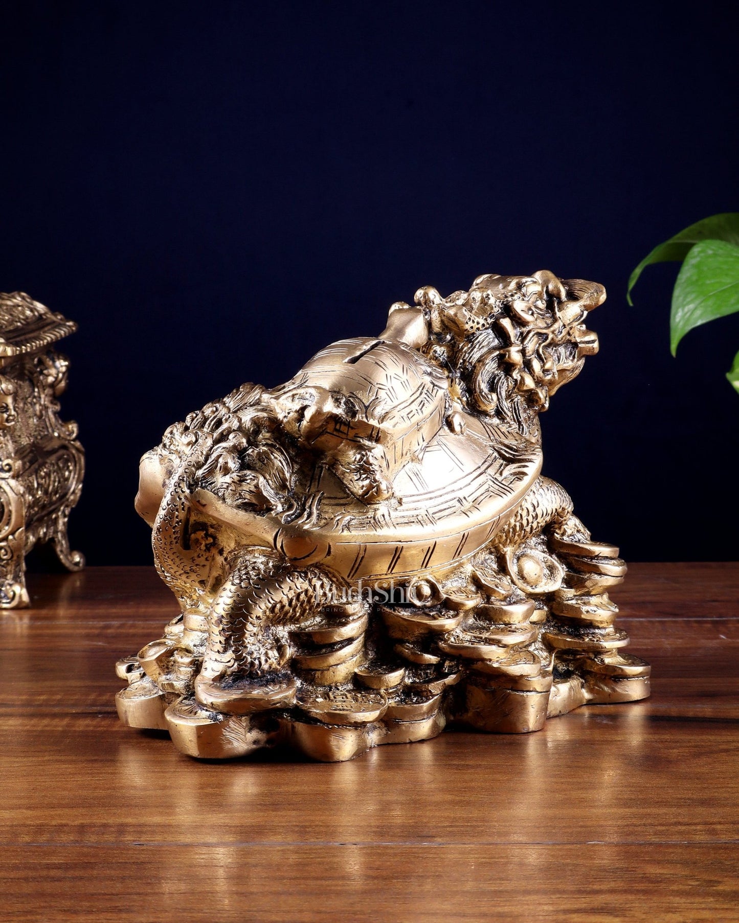 Pure Brass Feng Shui Dragon Tortoise Money Bank 8.5" - Budhshiv.com
