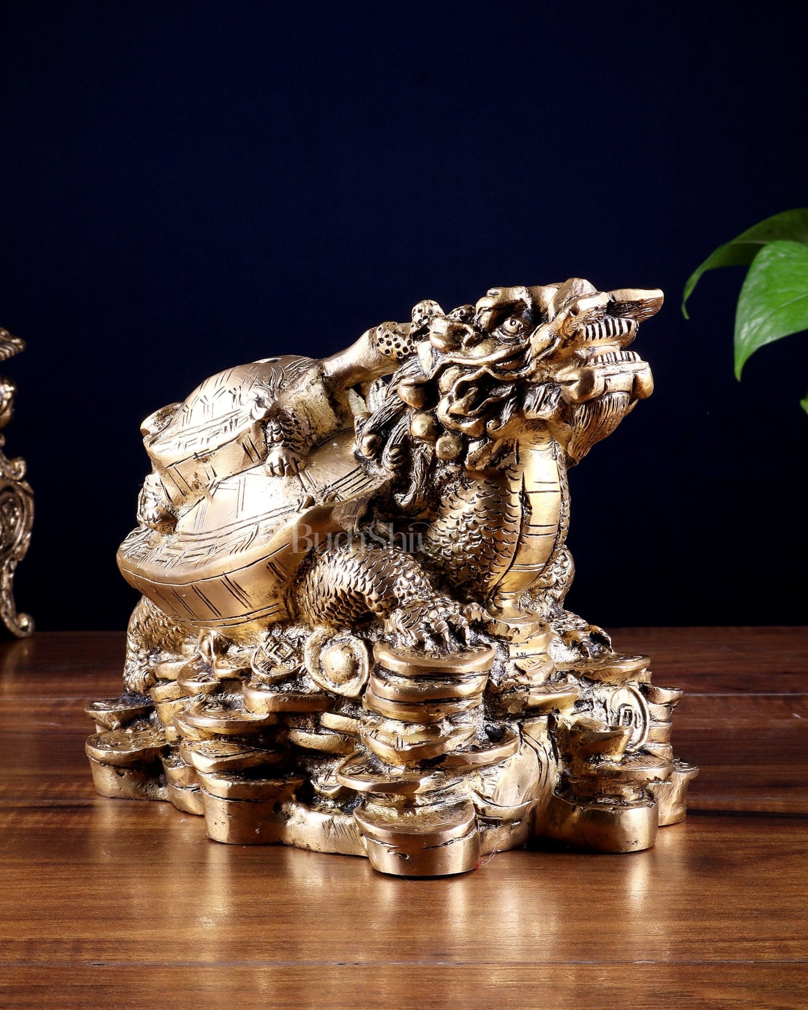 Pure Brass Feng Shui Dragon Tortoise Money Bank 8.5" - Budhshiv.com