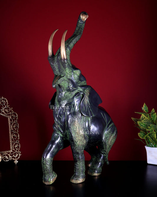 Pure Brass Large African Elephant Statue Trunk Up | 72.5 cm | 18 kg - Budhshiv.com