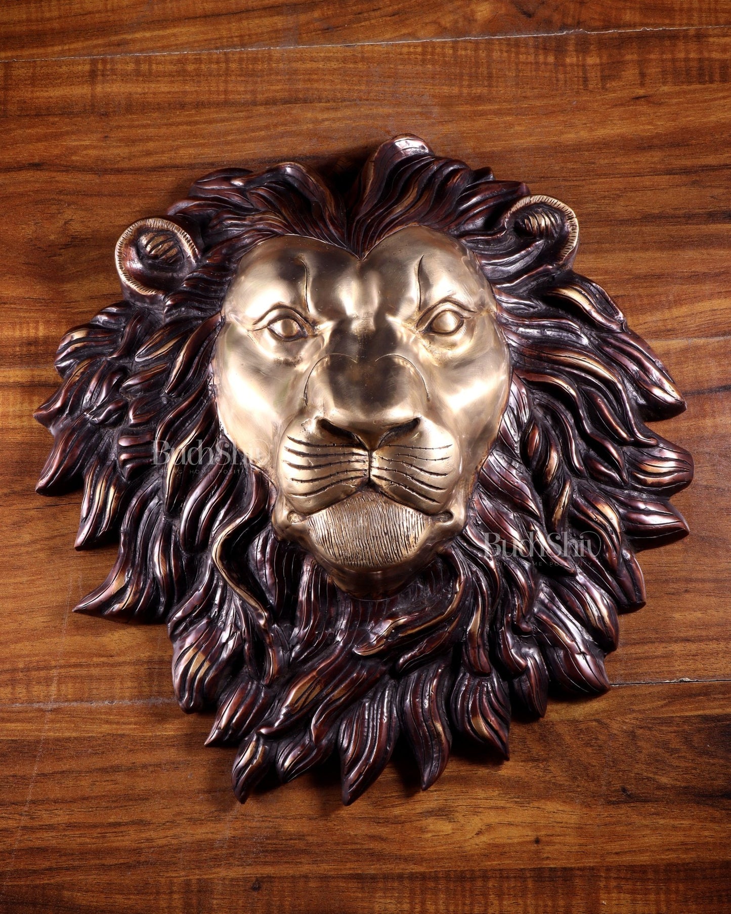 Pure Brass Large Lion Face Wall Hanging – Dual Tone Finish 14.5 inch - Budhshiv.com