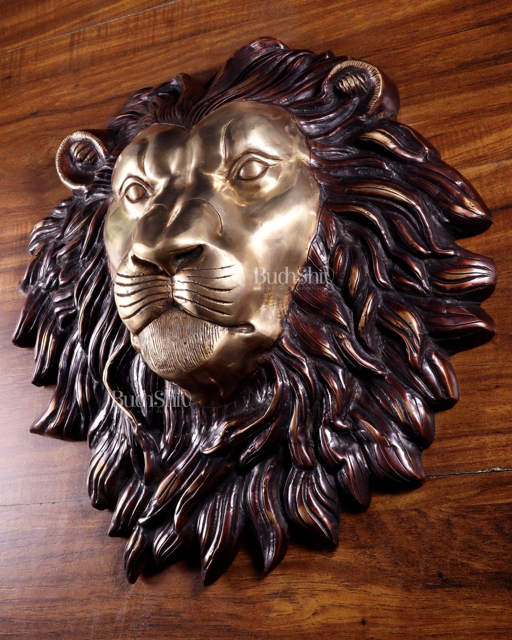 Pure Brass Large Lion Face Wall Hanging – Dual Tone Finish 14.5 inch - Budhshiv.com