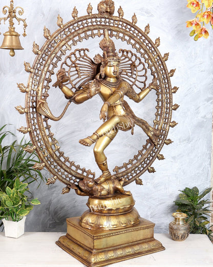 Pure Brass Large Lord Shiva as Nataraja - 47 Inch, Antique brass tone - Budhshiv.com