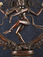 Pure Brass Large Nataraja Statue | 35" - Budhshiv.com