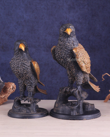 Pure Brass Large Pair of Eagles in Antique Tone | Vastu & Feng Shui Approved 15" - Budhshiv.com