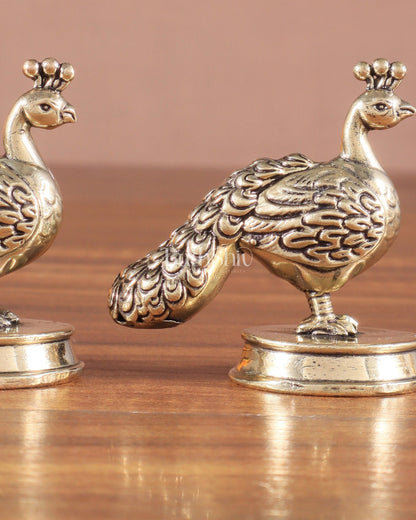 Pure Brass Miniature Peacock Pair – 2" - Budhshiv.com