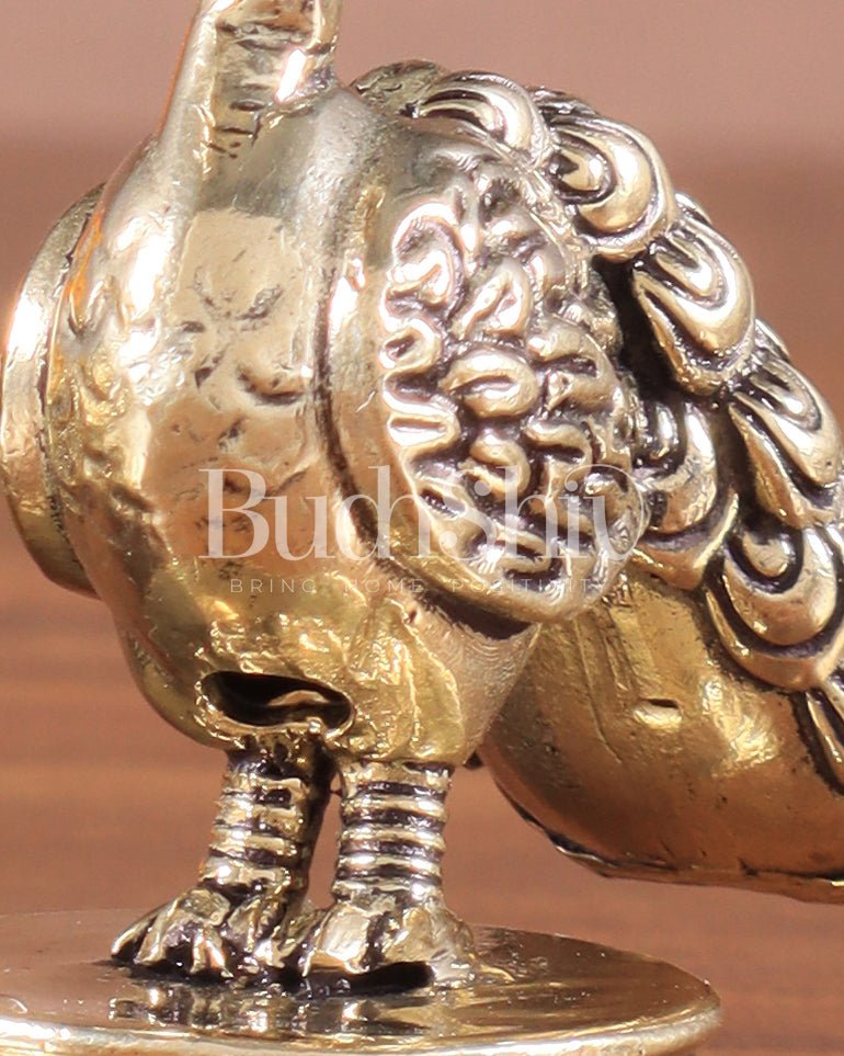 Pure Brass Miniature Peacock Pair – 2" - Budhshiv.com