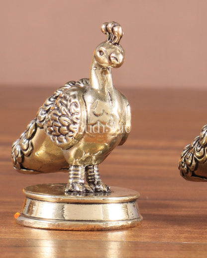 Pure Brass Miniature Peacock Pair – 2" - Budhshiv.com