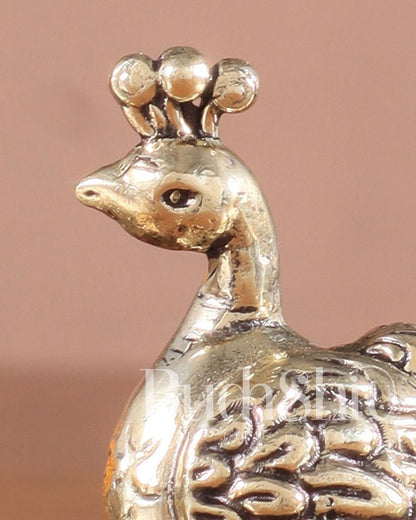 Pure Brass Miniature Peacock Pair – 2" - Budhshiv.com