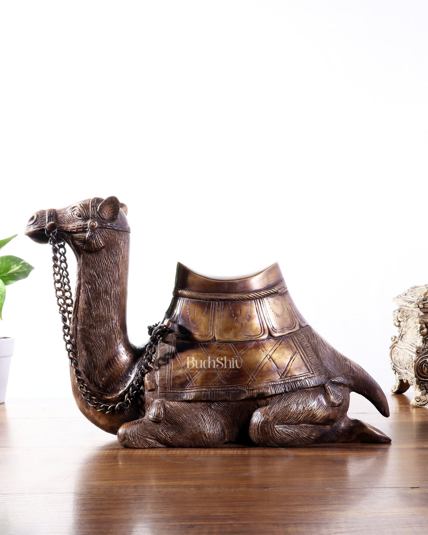 Pure Brass Seated Camel Statue – Vastu Approved Décor for Home or Office - Budhshiv.com