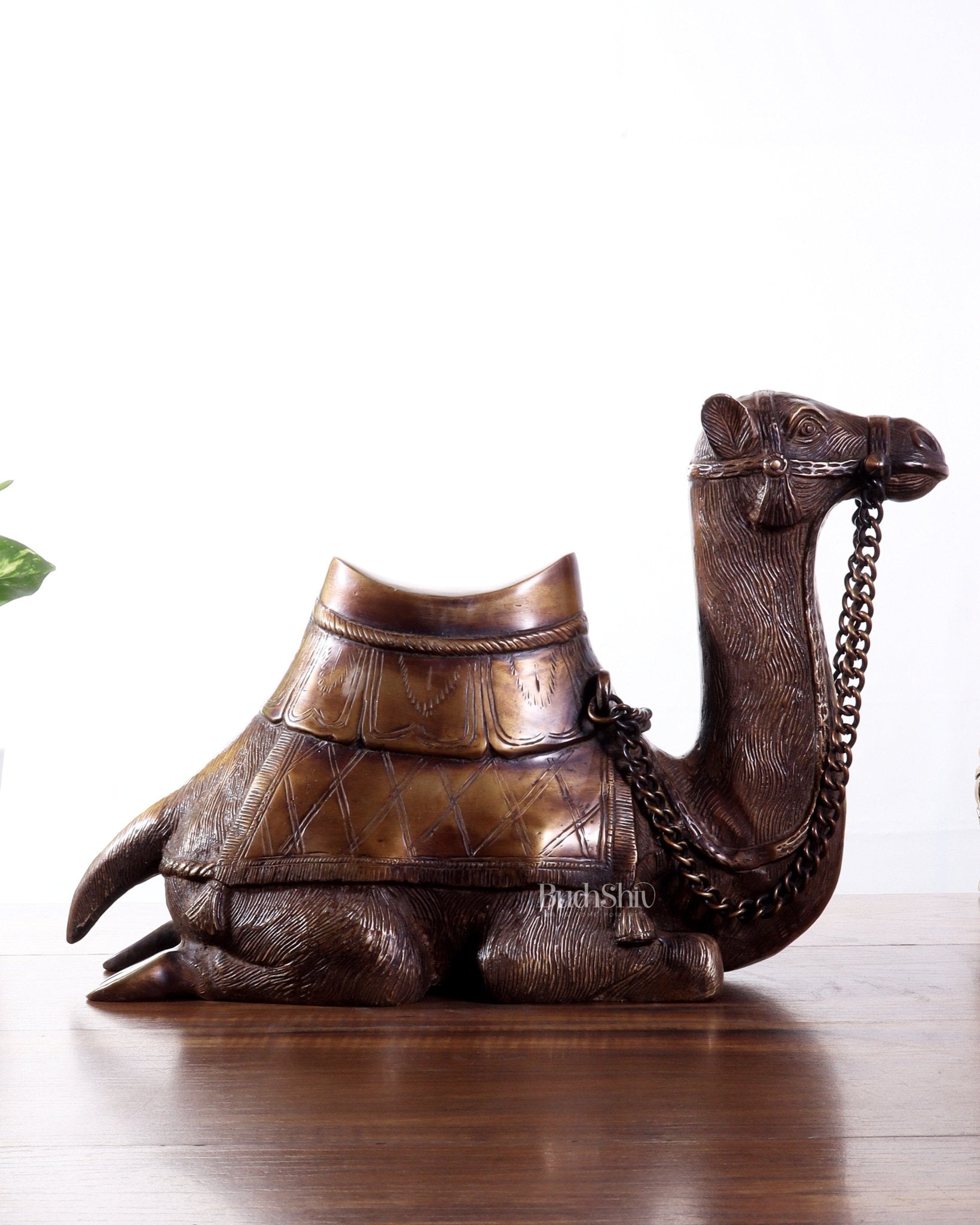 Pure Brass Seated Camel Statue – Vastu Approved Décor for Home or Office - Budhshiv.com
