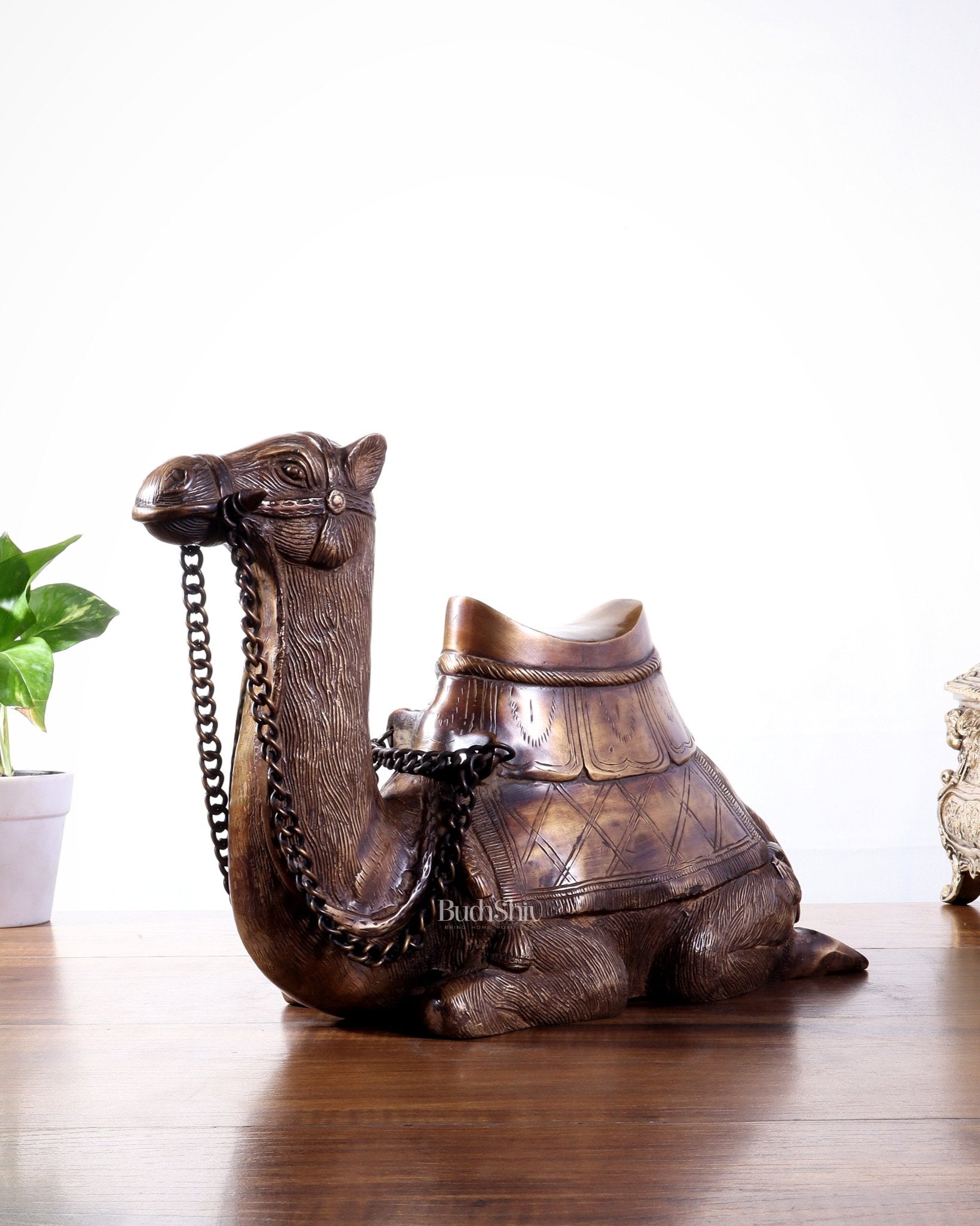 Pure Brass Seated Camel Statue – Vastu Approved Décor for Home or Office - Budhshiv.com