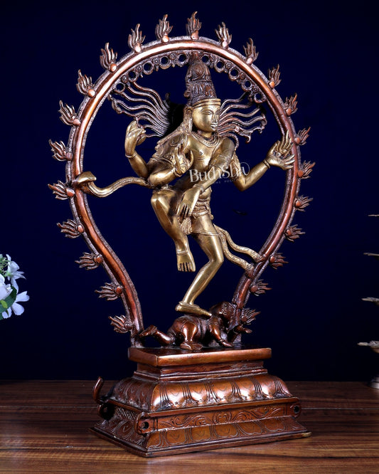 Pure Brass Shiva as Nataraja Statue - 16" dual tone - Budhshiv.com