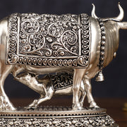 Pure Brass Silver Plated Kamdhenu Cow with Calf Idol - 4" Tall - Budhshiv.com