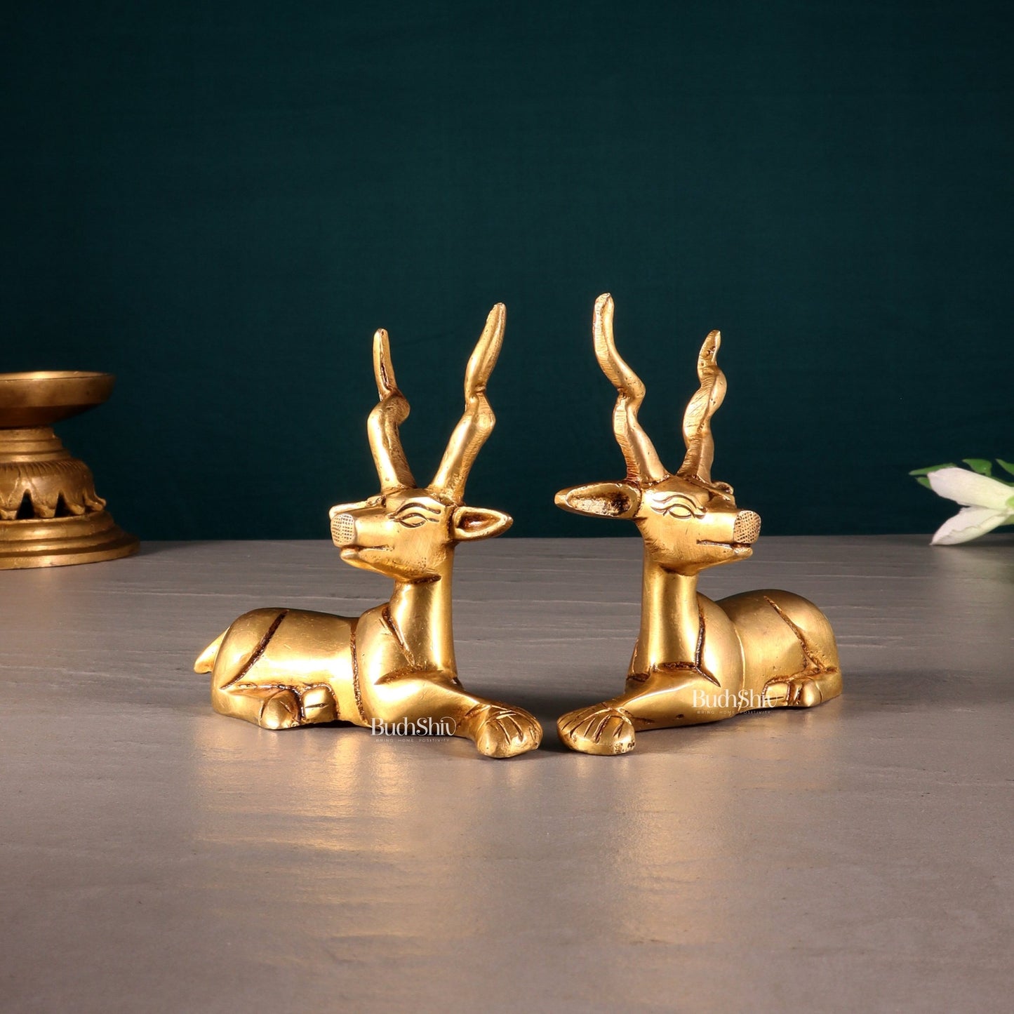 Pure Brass Small Pair of Sitting Deer – Vastu Approved 3.5 inch - Budhshiv.com