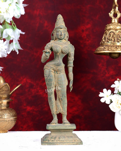 Pure Brass Standing Goddess Uma Parvati Sivagami Sculpture – 13” Stonefinish - Budhshiv.com