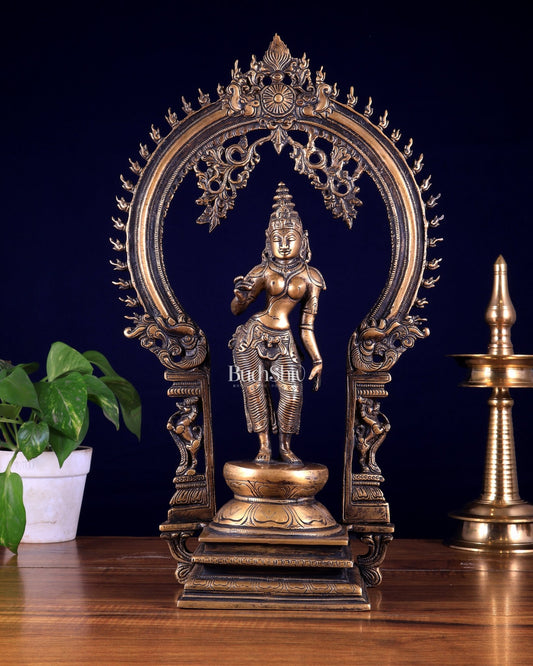 Pure Brass Standing Parvati with Prabhavali – Bhoga Shakti Idol (Antique Burnt Brass Finish) 18 inch - Budhshiv.com