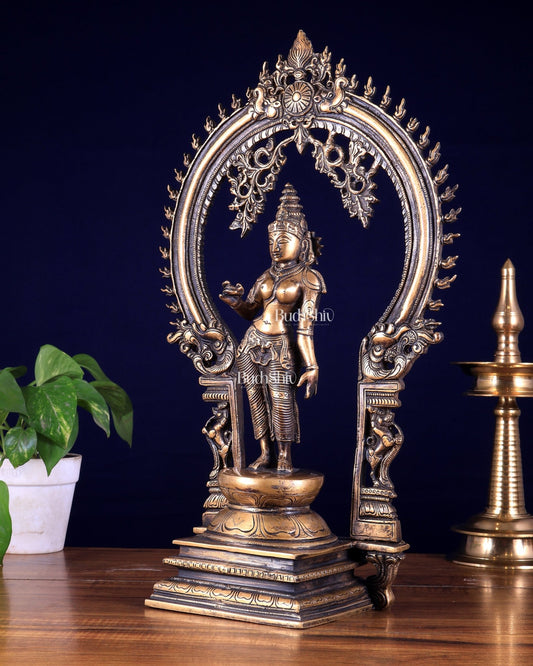 Pure Brass Standing Parvati with Prabhavali – Bhoga Shakti Idol (Antique Burnt Brass Finish) 18 inch - Budhshiv.com