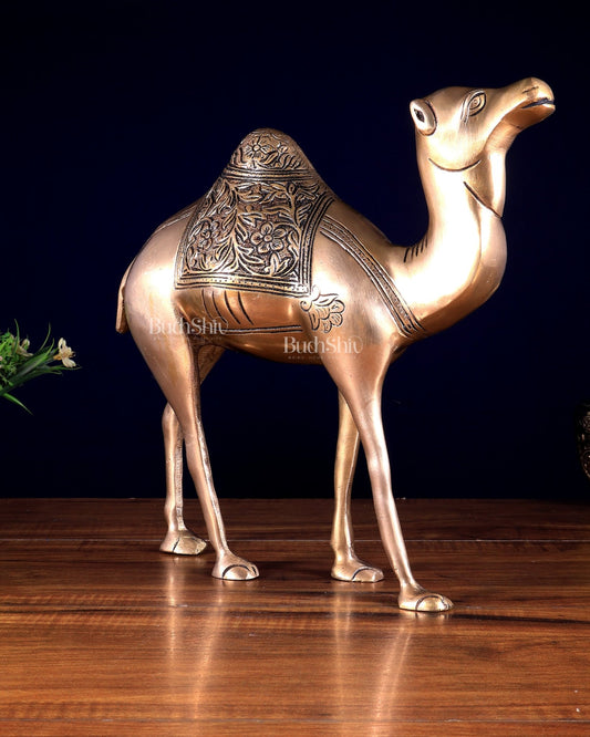 Pure Brass Superfine Standing Camel – The Ship of the Desert | Vastu Approved Showpiece 10.5 inch - Budhshiv.com