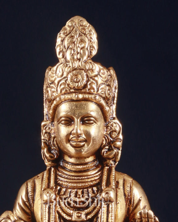 Pure Brass Swaminarayan Sahajanand Swami Superfine Idol – 7 Inch - Budhshiv.com