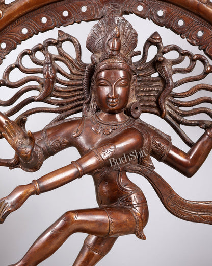 Pure Brass Unique Dancing Shiva Nataraja Statue - Height 21" dark brown - Budhshiv.com
