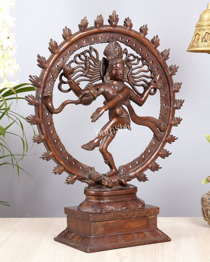 Pure Brass Unique Dancing Shiva Nataraja Statue - Height 21" dark brown - Budhshiv.com