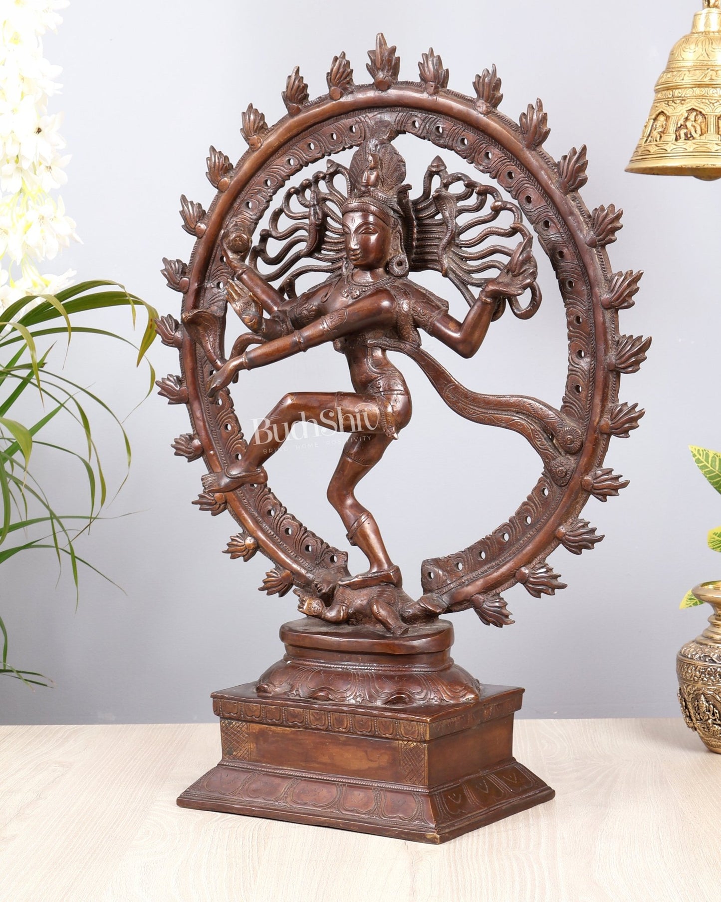 Pure Brass Unique Dancing Shiva Nataraja Statue - Height 21" dark brown - Budhshiv.com