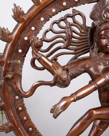 Pure Brass Unique Dancing Shiva Nataraja Statue - Height 21" dark brown - Budhshiv.com