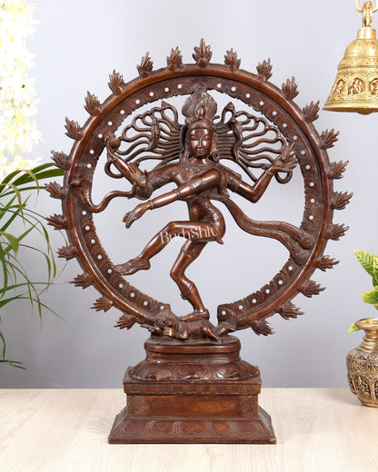 Pure Brass Unique Dancing Shiva Nataraja Statue - Height 21" dark brown - Budhshiv.com