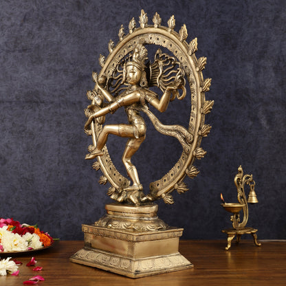 Pure Brass Unique Dancing Shiva Nataraja Statue - Height 21" - Budhshiv.com