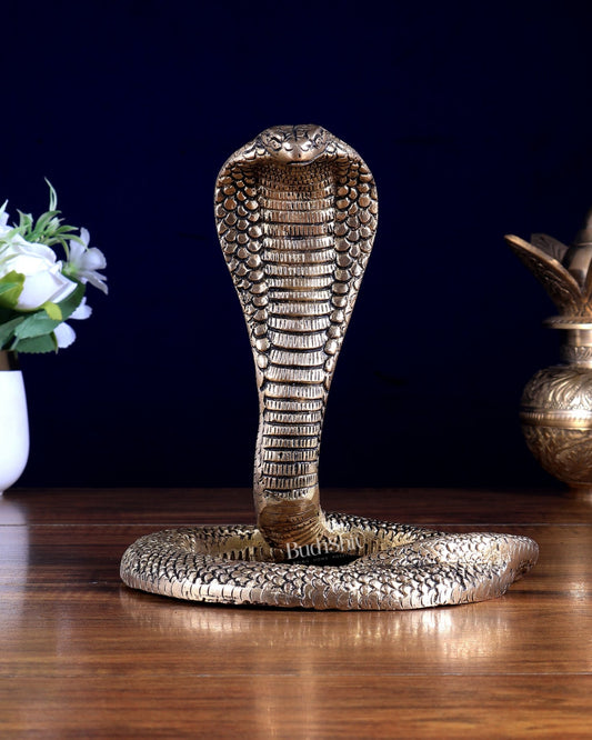 Pure Brass Vasuki Naag Snake / Serpent Hindu Idol 7.67 inch - Budhshiv.com