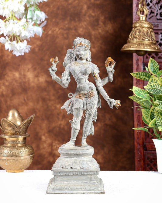 Pure Brass vintage Ardhanarishwara idol 13.5" rustic sand patina - Budhshiv.com